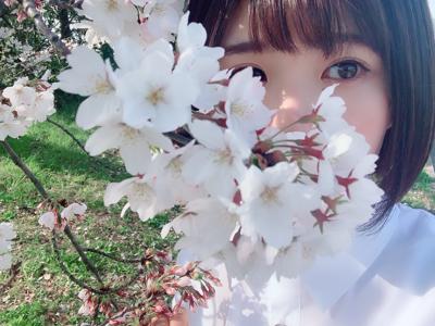 桜だね〜 - 画像3