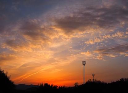 🌸さくら🌸 - 画像6