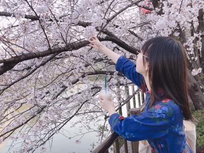 儚い季節。 - 画像2