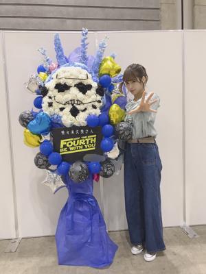 猫じゃらし - 画像9