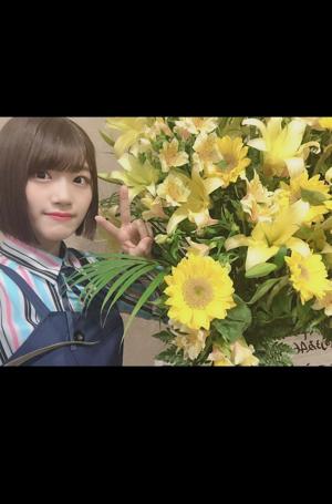 Flower①🌸 - 画像4