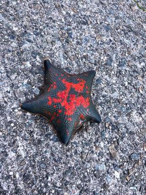 🐟🎣魚釣り🐟🎣 - 画像2