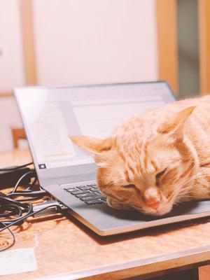 あおはぴ😊 - 画像2