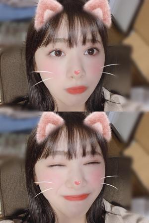 ファがない！？ - 画像4
