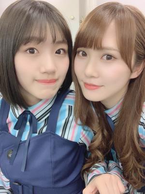 牛のぬいぐるみ、何度みても笑ってしまう(・ω・) - 画像3
