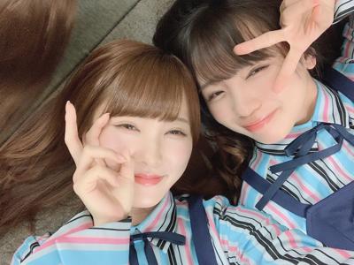 牛のぬいぐるみ、何度みても笑ってしまう(・ω・) - 画像4