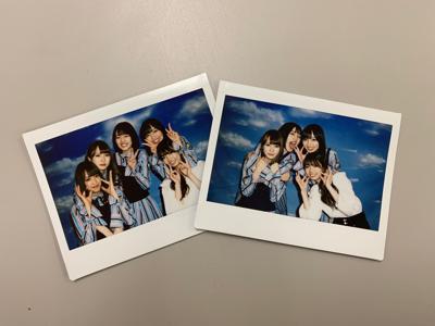 牛のぬいぐるみ、何度みても笑ってしまう(・ω・) - 画像5