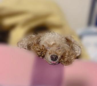初めて感じたときめき - 画像2