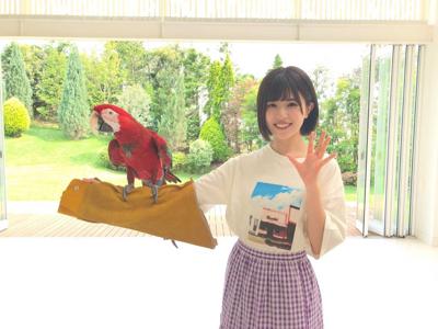 サモンちゃん🐶アカベエ🦜 - 画像3