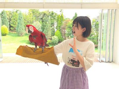 サモンちゃん🐶アカベエ🦜 - 画像4