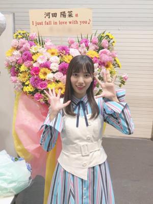 頂いたお花①🎐 - 画像12