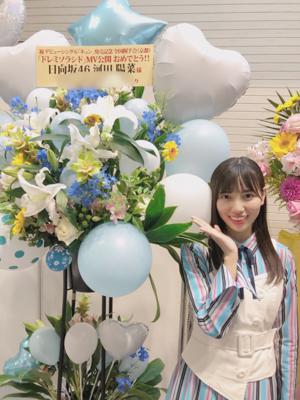 頂いたお花①🎐 - 画像13