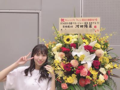 頂いたお花①🎐 - 画像5