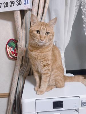 のび、伸びたー - 画像3