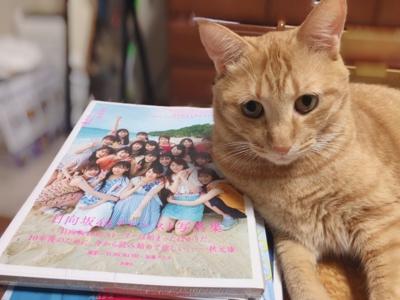 あおからの伝言🐱 - 画像2