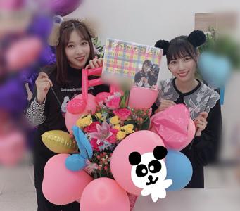 にゃんにゃーんわんわーん - 画像6