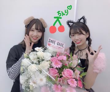 にゃんにゃーんわんわーん - 画像7