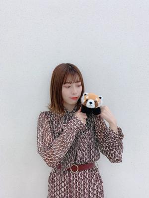 🐻 - 画像3