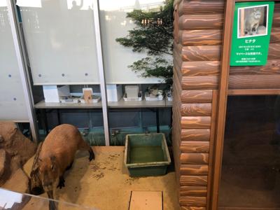 新メンバー😊 - 画像3