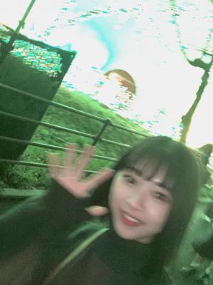 キミに決めた！ - 画像2