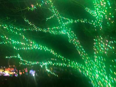 みかんって美味しいよね - 画像2