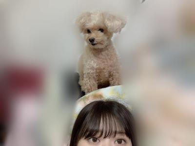 ダンスは1晩寝て覚えるけれど勉強は1晩寝て忘れてしまうんだなぁ - 画像3