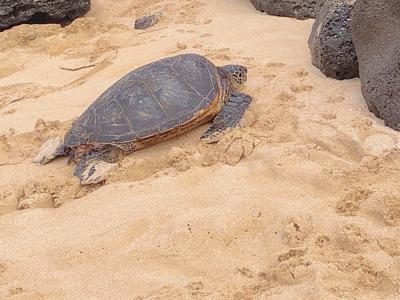 空と海の色。 - 画像2