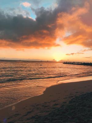 幸せがいっぱい。 - 画像5