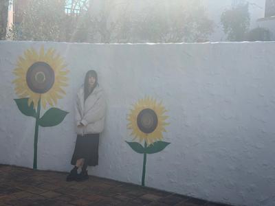 新年です。2020年です。良き年になりますように。 - 画像4