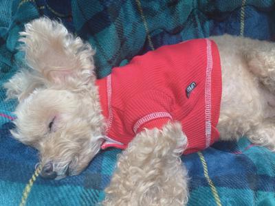 末吉ってどこらへん？ - 画像3