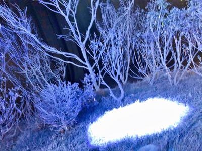 スポットライト - 画像6