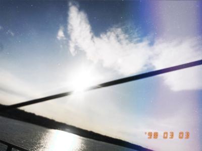 つばき🌺 - 画像2