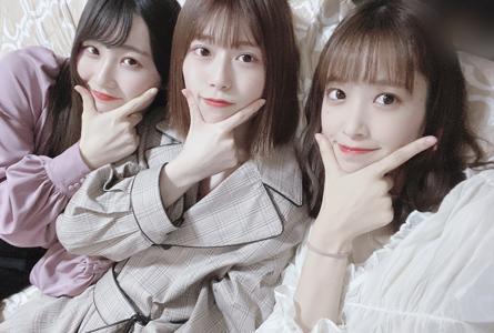 ダンゴムシ - 画像3