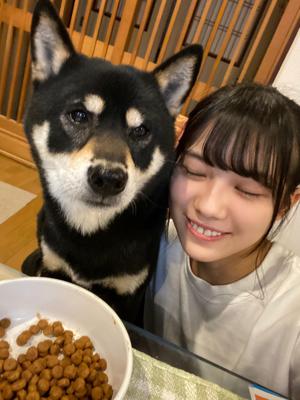 皆さん。今日の私は珍しく森本ゆりぃなんですよ。 - 画像3