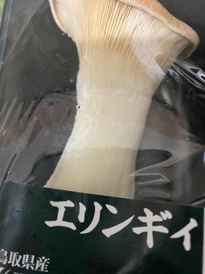 きのこって洗わなくていいんだ🍄 - 画像2