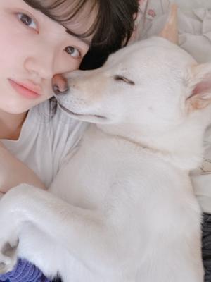 とてつもなく眠いです。おやすみなさい！ - 画像3