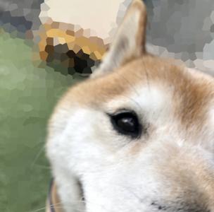 ~ゲームむむむむ( ¨̮ )~ - 画像5