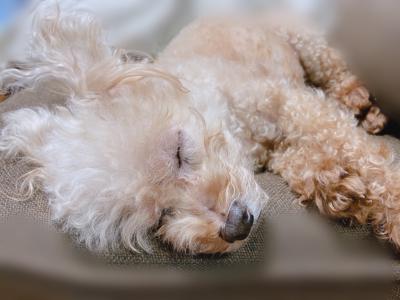 ついに開幕だー⚾️ - 画像4