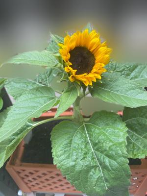 またまたそんなこといって〜 - 画像8