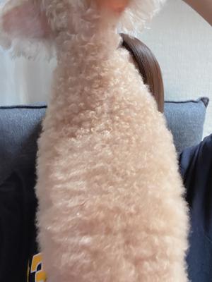 ミルクティー分、ウォーキング - 画像3