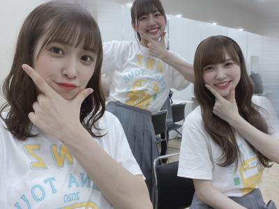 ライオン - 画像4