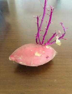 明日ですよ〜🍞 - 画像2