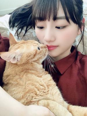 見てにゃ〜🐈 - 画像2