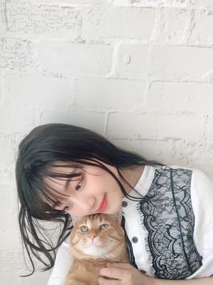 🐱またまた🐶 - 画像2