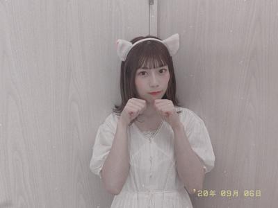 🐱 - 画像2