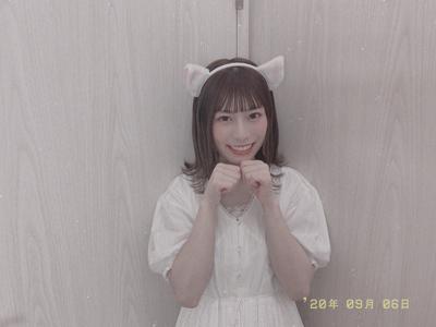 🐱 - 画像3