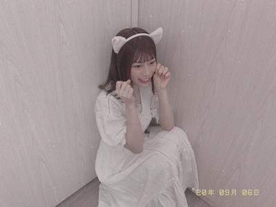🐱 - 画像4