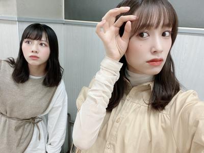 キャベンディッシュ - 画像6