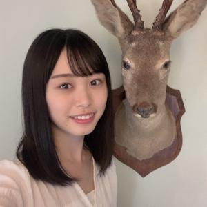 スタート - 画像5