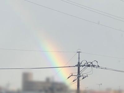 虹 - 画像2